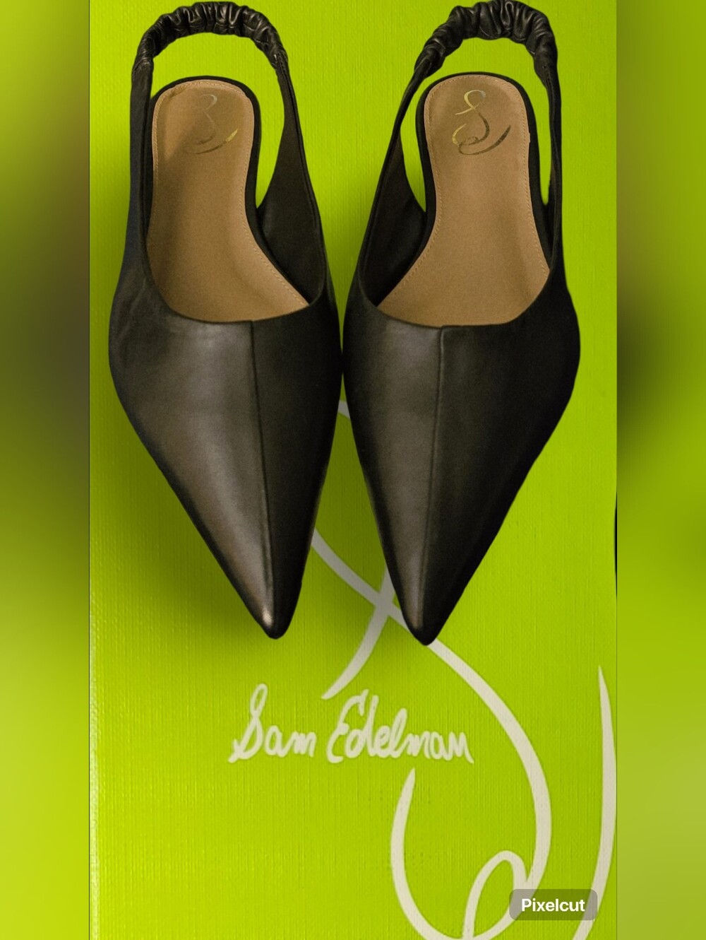 Sam Edelman, Whitney - Picture 5 of 6